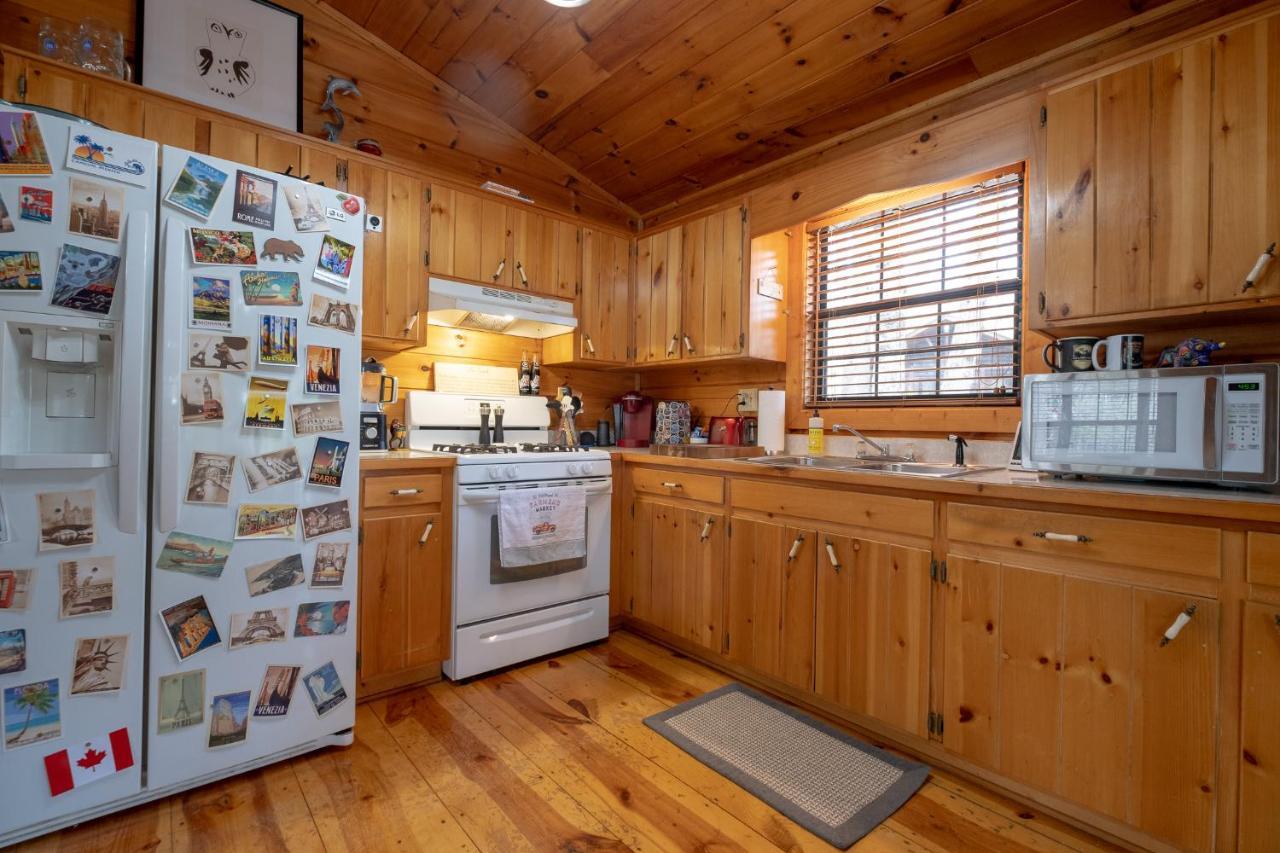 Vila Three Dog Night - Pet-Friendly Cabin With Hot Tub Blue Ridge Exteriér fotografie