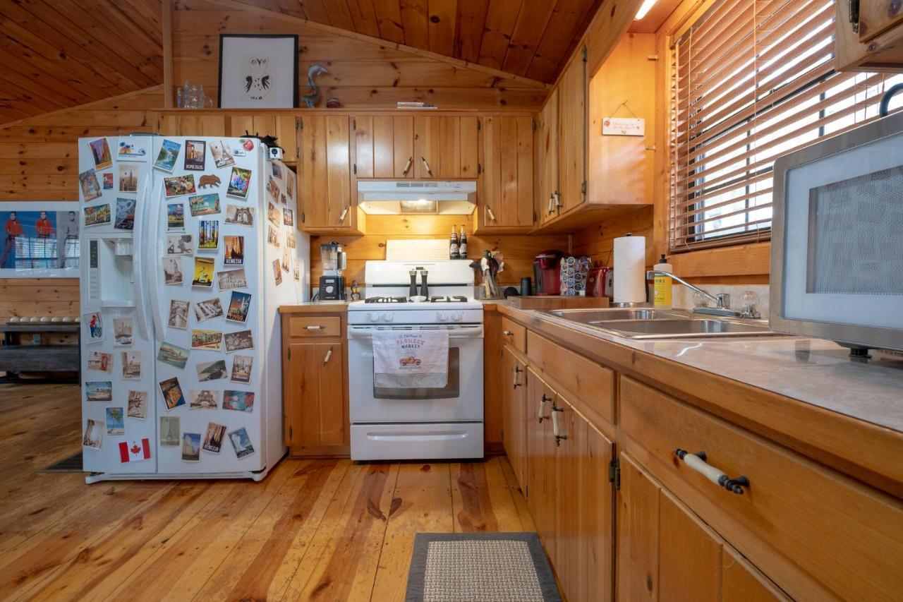 Vila Three Dog Night - Pet-Friendly Cabin With Hot Tub Blue Ridge Exteriér fotografie
