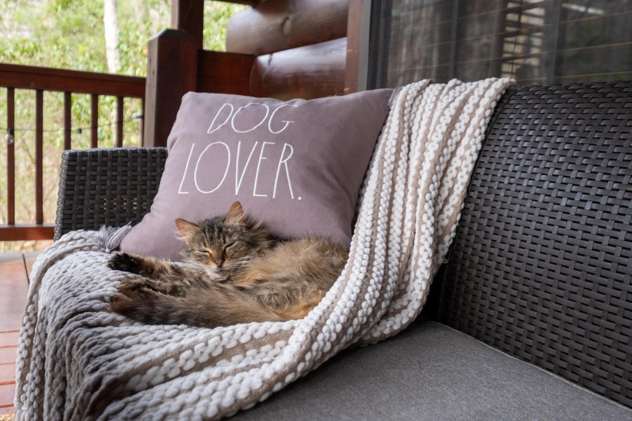 Vila Three Dog Night - Pet-Friendly Cabin With Hot Tub Blue Ridge Exteriér fotografie