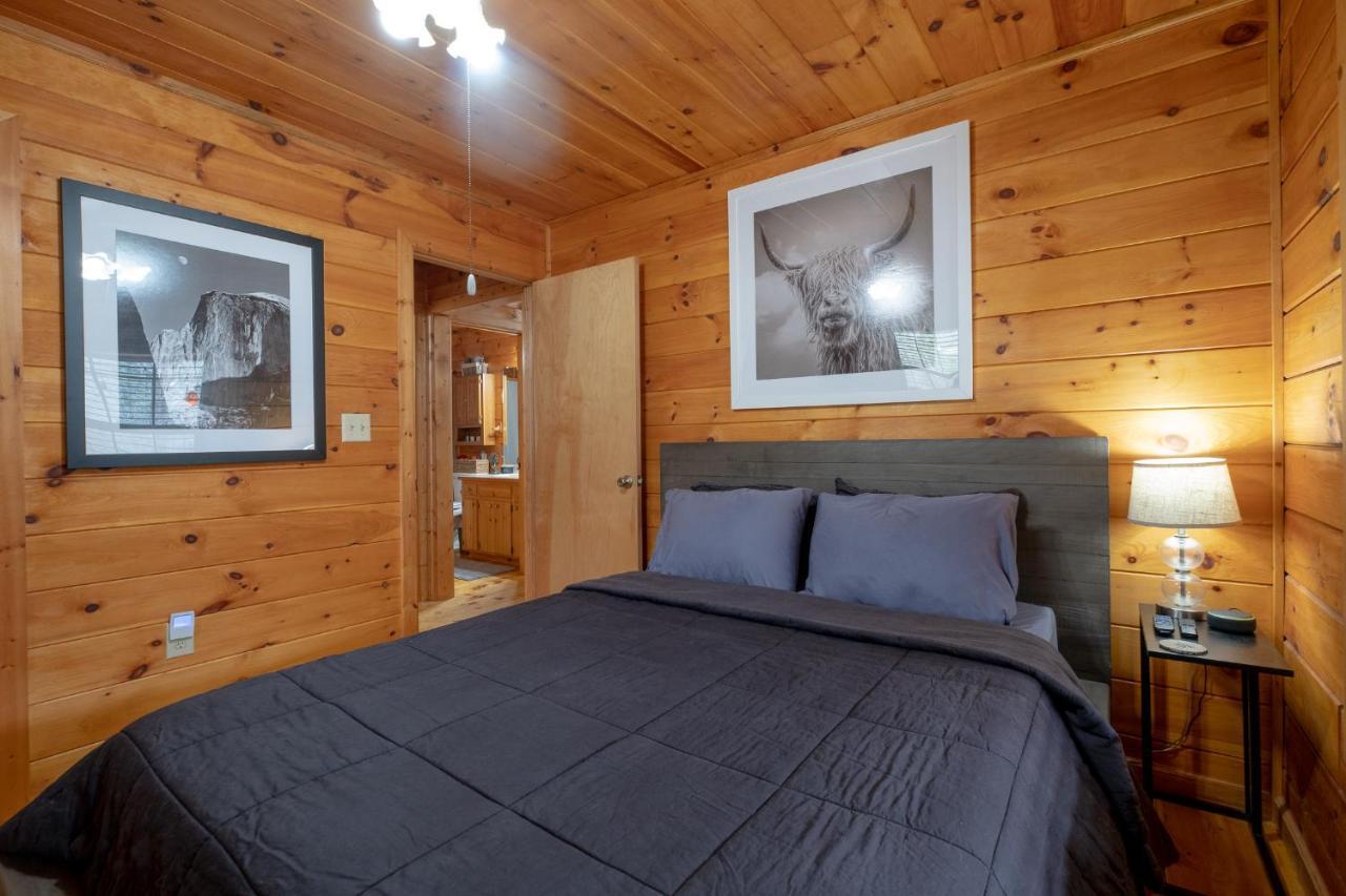 Vila Three Dog Night - Pet-Friendly Cabin With Hot Tub Blue Ridge Exteriér fotografie