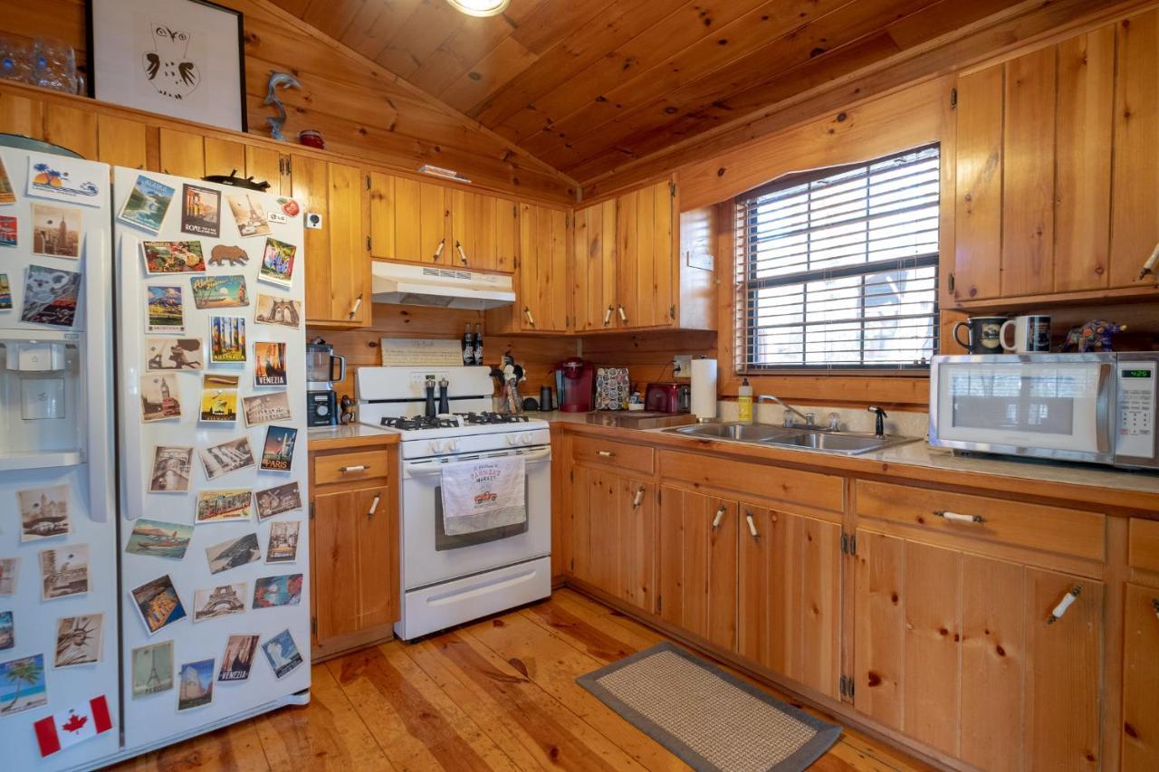 Vila Three Dog Night - Pet-Friendly Cabin With Hot Tub Blue Ridge Exteriér fotografie
