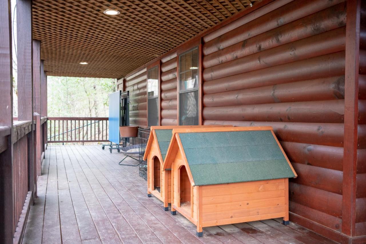 Vila Three Dog Night - Pet-Friendly Cabin With Hot Tub Blue Ridge Exteriér fotografie