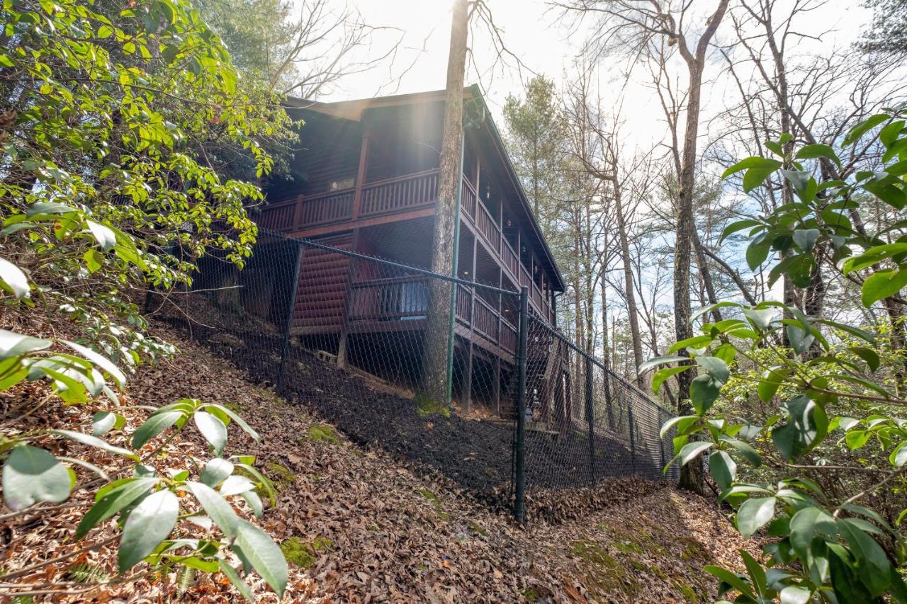 Vila Three Dog Night - Pet-Friendly Cabin With Hot Tub Blue Ridge Exteriér fotografie