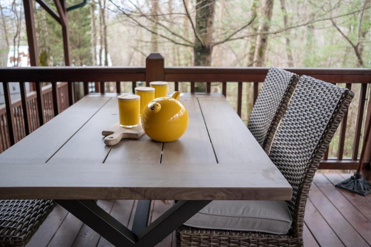 Vila Three Dog Night - Pet-Friendly Cabin With Hot Tub Blue Ridge Exteriér fotografie
