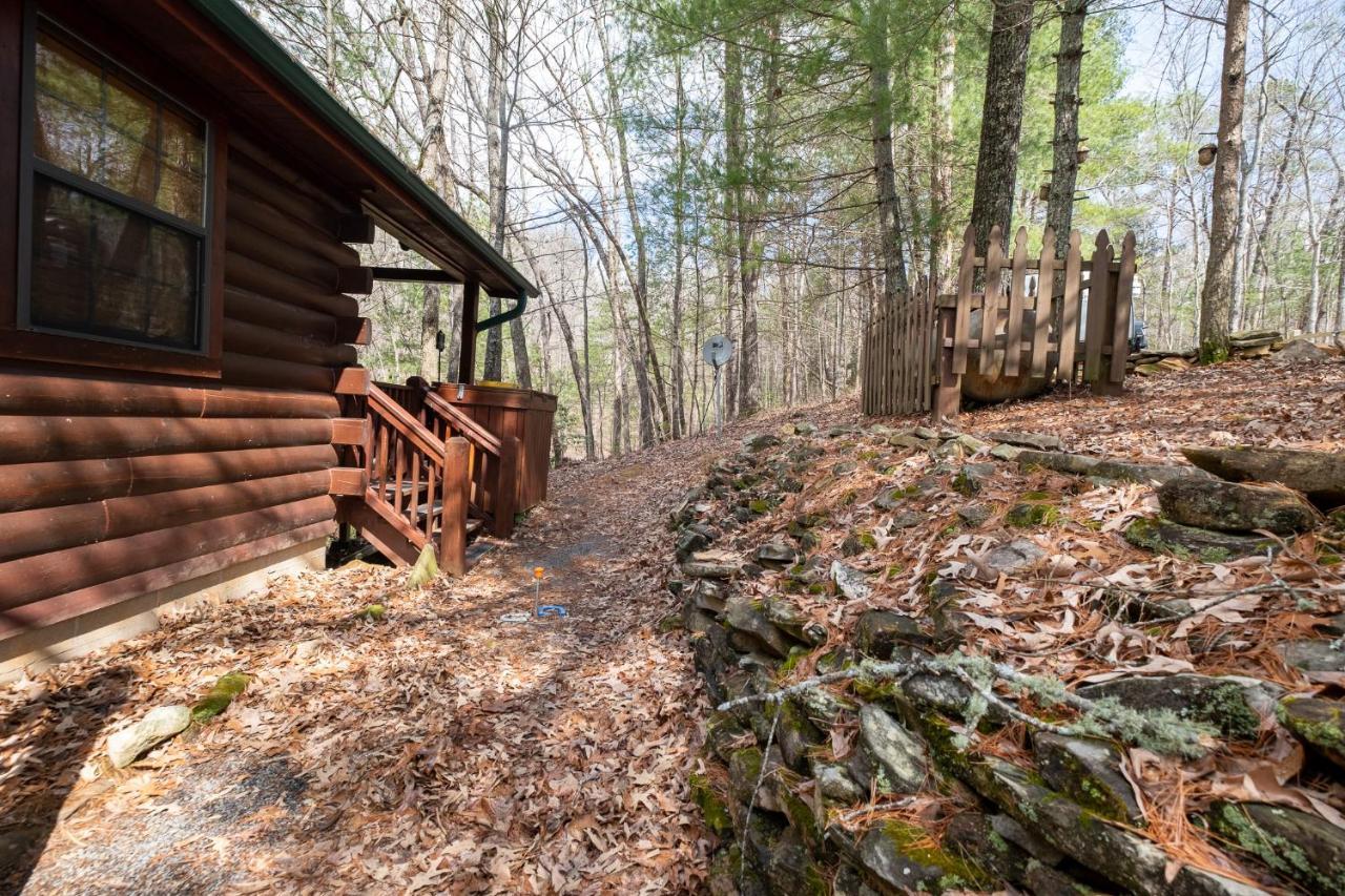Vila Three Dog Night - Pet-Friendly Cabin With Hot Tub Blue Ridge Exteriér fotografie